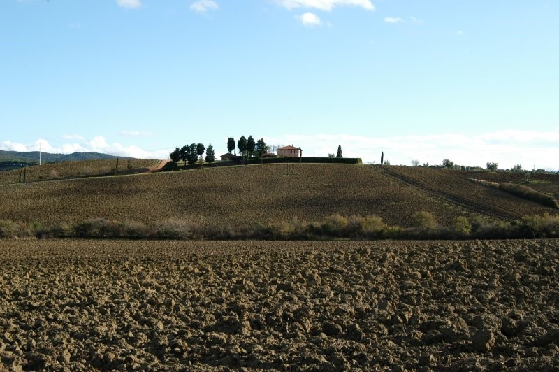 BIBBONA CAMPAGNA